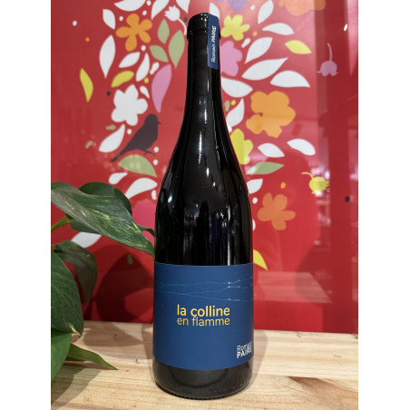 Dom. des Pothiers - Colline en flamme - AOC Côte Roannaise 2023