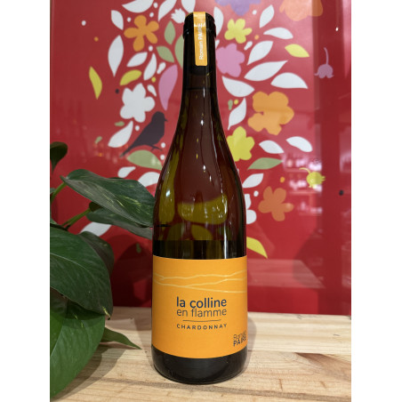 Dom. des Pothiers - Colline en flamme - AOC Côte Roannaise 2023