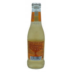 Fever tree - Premium Ginger Ale 20cl