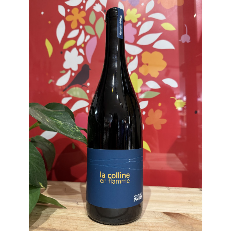 Dom. des Pothiers - Colline en flamme - AOC Côte Roannaise 2023