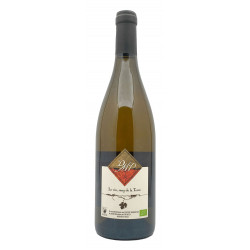 Domaine Monier Perreol - Saint Joseph Blanc - 2021
