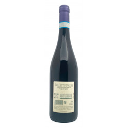 Domaine Caviola - Vilot - AOC Dolcetto d’Alba 2021