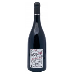 Domaine Les Pierres d’Aurèle - Pinot Noir - IGP Val de Loire 2022