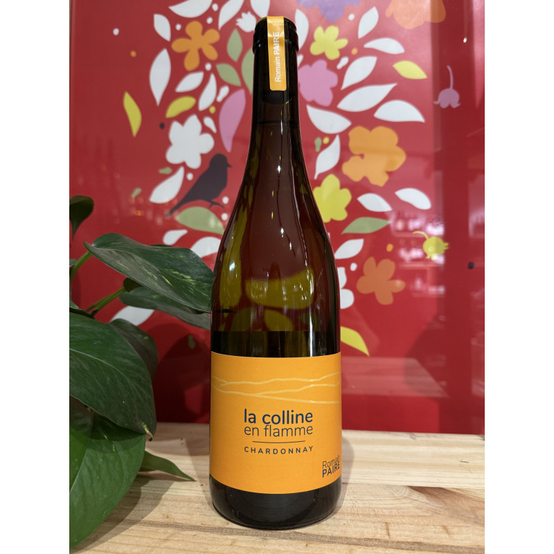 Dom. des Pothiers - Colline en flamme - AOC Côte Roannaise 2023