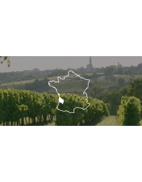 Vins de Bordeaux: découvrez notre sélection de vins de la région bordelaise